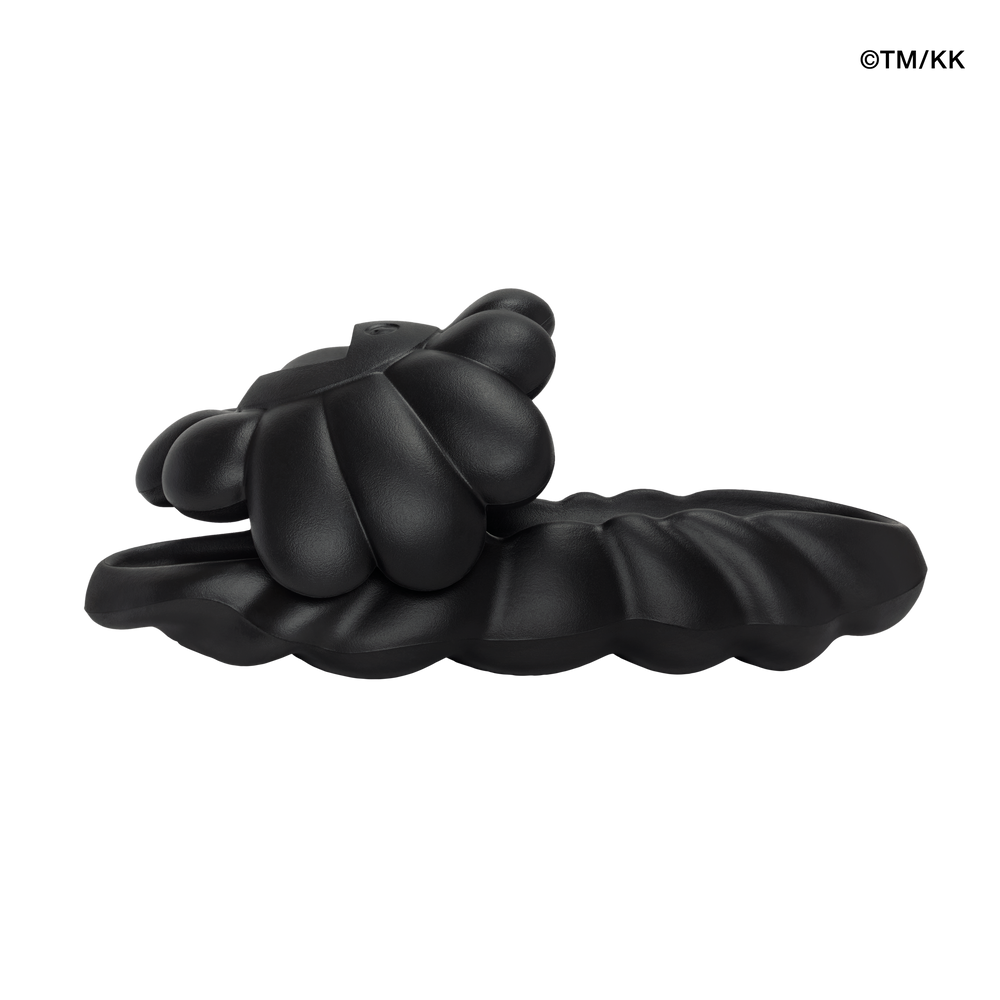 Ohana Full-Bloom Meteorite