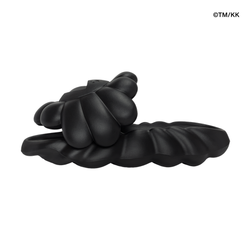 Ohana Full-Bloom Meteorite