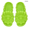 Ohana Full-Bloom Lime Zest